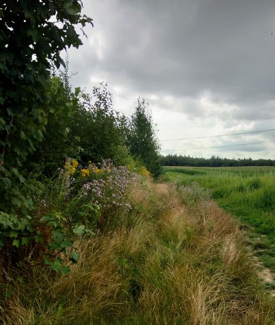 nice here ♥
2021@ana´