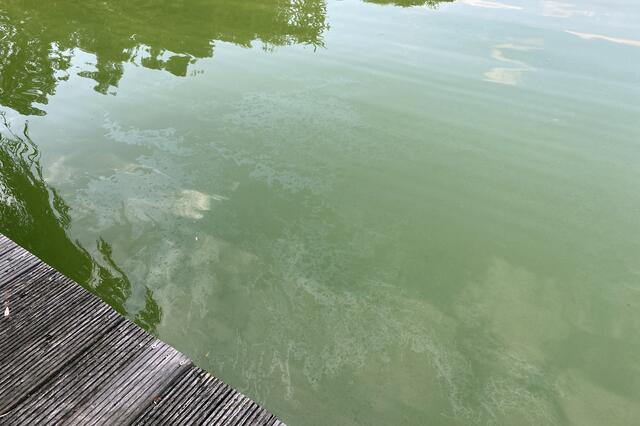 Am Donnerstagabend rückte die Hauptwache der Dorstener Feuerwehr zum Barkenberger See aus. Hier hatten Spaziergänger im Bereich des Stegs einen Ölfilm auf dem Gewässer an der Gesamtschule entdeckt.
