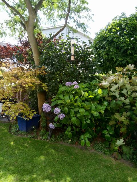 ...einfach genießen....