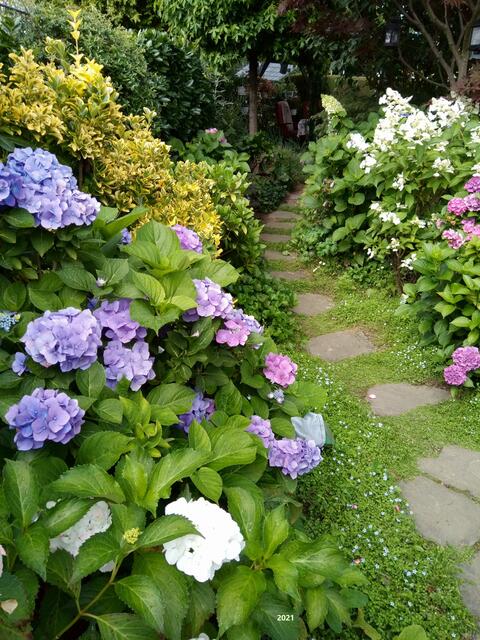 ...schön arrangiert....