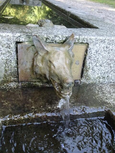 Lieblingsbrunnen.