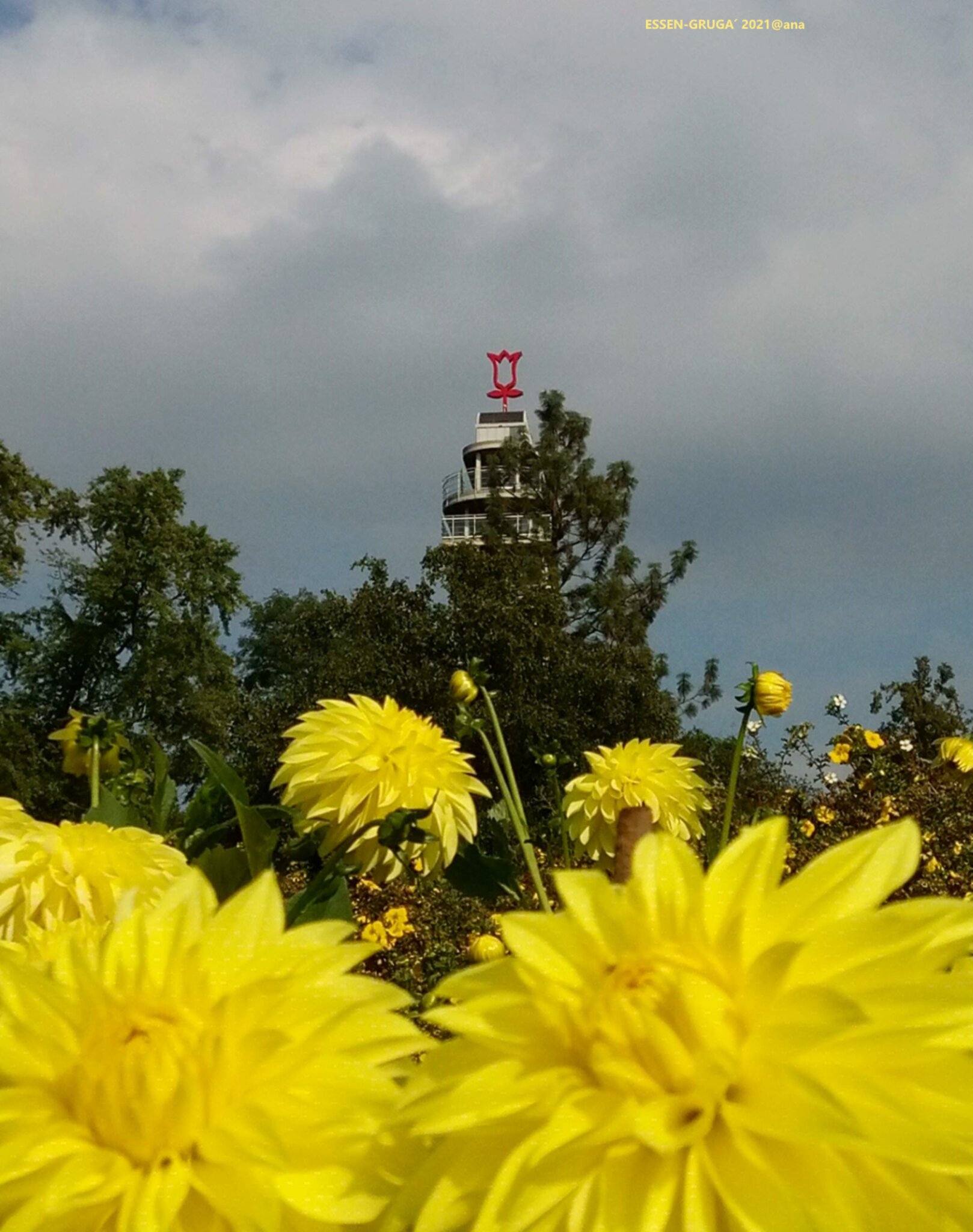 BILDER Heimat RUHRGEBIET Alltägliches Natur GRUGAPARK GRUGA im