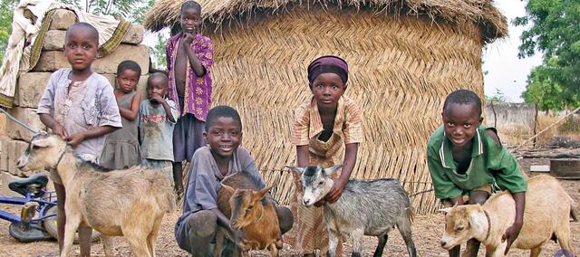 Das Ziegenprojekt soll Starthilfe für Familien in Afrika sein und somit Hilfe zur Selbsthilfe.