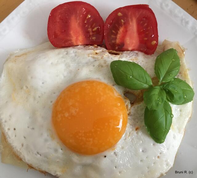 Brot mit Ei und Garnitur