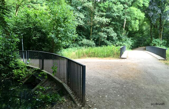 Welchen Weg schlagen wir ein???