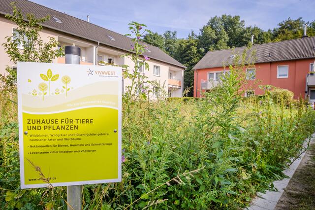 Auf Infotafeln im Quartier können Mieter und Besucher mehr Details über die Maßnahmen erfahren.