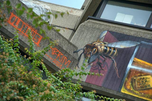 Fertig ...
Hier kann man sehr schön eine von Kerims Bienen sehen, die aus der Vertiefung in der Wand auf den Betrachter zufliegt. Seine Illustrationen von Tieren sind schon beeindruckend.

Complete ...
Here you can see one of Kerim's bees, which flies out of the recess in the wall towards the viewer. His illustrations of animals are impressive. | Foto: Samara Blue Urbex Art