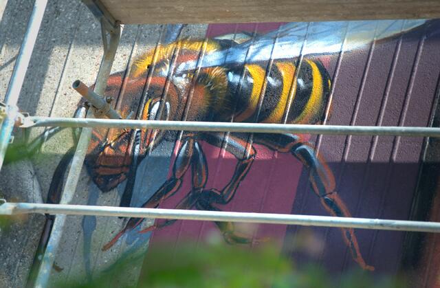 2. Maltag
Während die Dose so komplett von OLDHAUS gemalt wurde,  hat Kerim Musanovic die tollen lebensechten Bienen hinzugefügt.

2nd painting day
While the can was completely painted by OLDHAUS, Kerim Musanovic added the great, lifelike bees. | Foto: Samara Blue Urbex Art