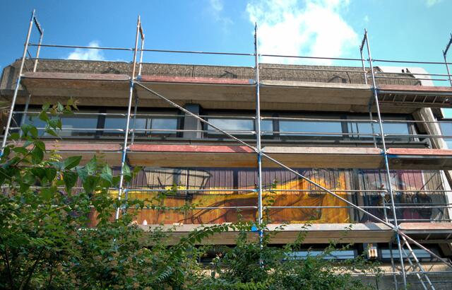 2. Maltag
Schon von weitem sticht das intensive Honig Gelb ins Auge. Der warme Farbton unterstreicht die ruhige Atmosphäre, die vom ruhenden Beuys ausgeht.

2nd painting day
The intense honey yellow catches the eye from afar. The warm color underlines the calm atmosphere that emanates from the resting Beuys. | Foto: Samara Blue Urbex Art