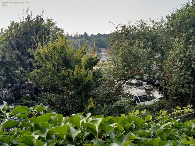 ...auf dem Weg zum Baldeneysee (Regattaturm/Hügel)...GRÜN drumherum noch und nöcher  2021@ana