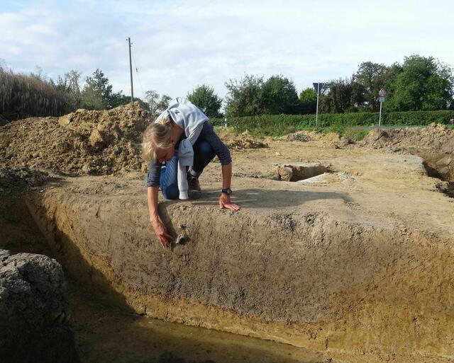 In dem Profil des großen Grabens am Rand der Nordfeldstraße steckt die große Randscherbe eines Kugeltopfs, die die Verfüllung in das Hochmittelalter (11-12. Jahrhundert) datiert.
Foto: M. Baales/LWL