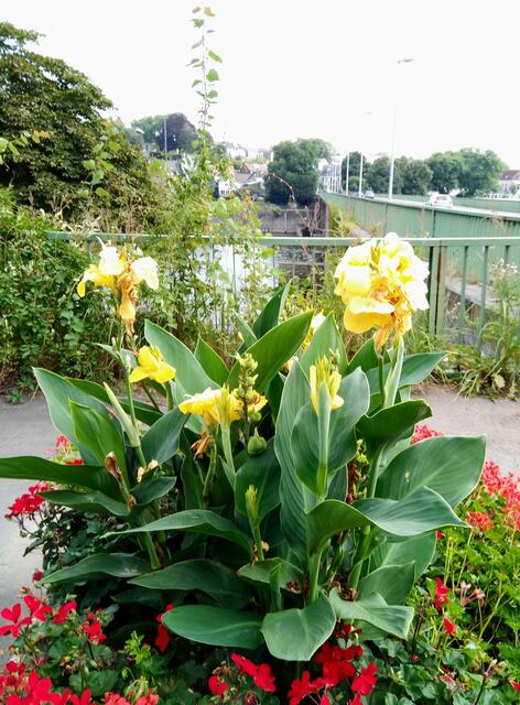 in Essen Kettwig...Sommer 2021@ana