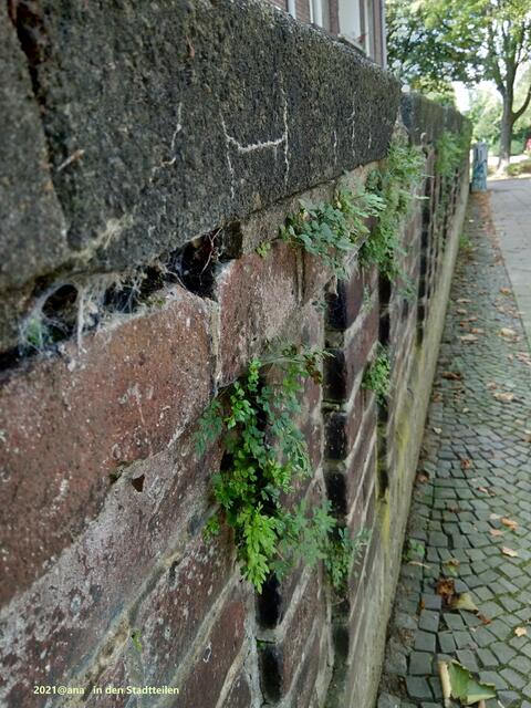 ...aus den Stadtteilen... am Wegesrand....