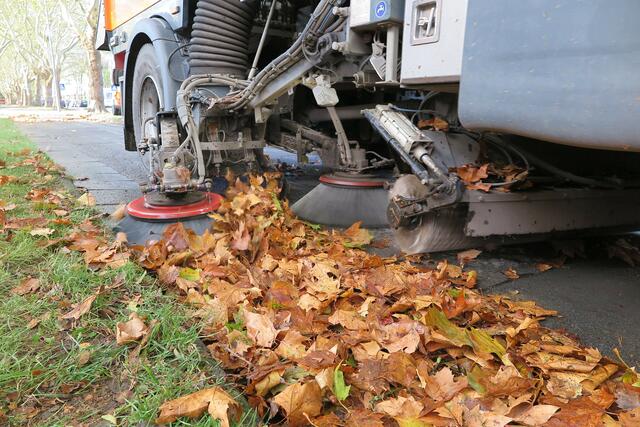 Für die Mitarbeiter der Bochumer Stadtreinigung bedeutet der Herbst viel Arbeit. Die komplette Mannschaft steht mit Kehrmaschinen, Laubblasgeräten und Besen parat, um das Laub schnellstmöglich von den Fahrbahnen und Gehwegen zu entfernen.