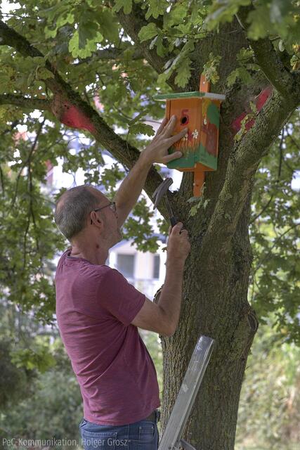 Im Diepenbeckpark wurden die bunt bemalten Nistkästen der OGS-Kinder angebracht. Foto: Holger Groß