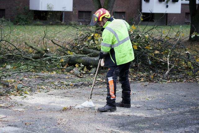 Mitarbeiter der Wirtschaftsbetriebe Lünen räumten die Reste der Kastanie zur Seite.