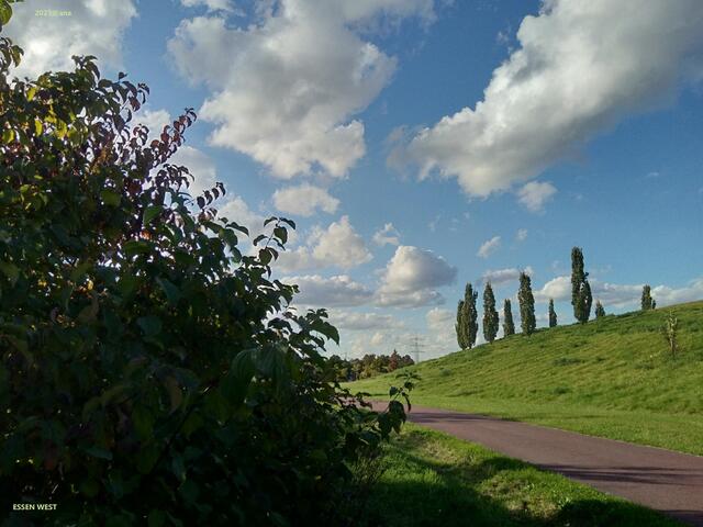 ein wenig in der SONNE spazieren
