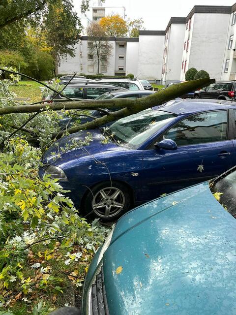Zum Glück wurde bei Bäumen, die der heftige Sturm brechen ließ, niemand verletzt, wie hier, wo Autos getroffen wurden. Zu vielen Einsätzen wurde die Feuerwehr in den südlichen Stadtteilen gerufen.