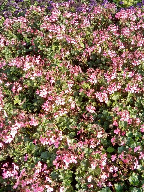 herrlich... im September :-)