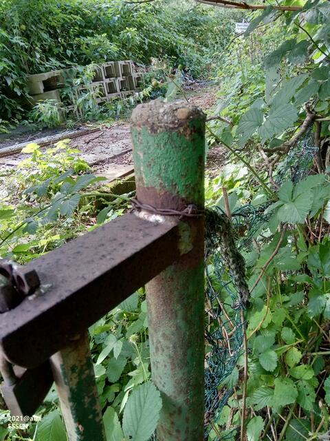 wieder GANZ anderSehen im Juli