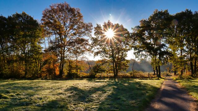Herbststimmung