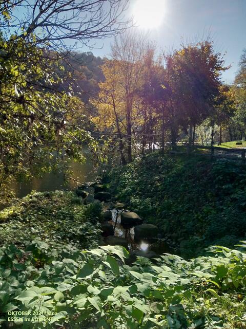 Essen-Werden an der Ruhr, Löwental