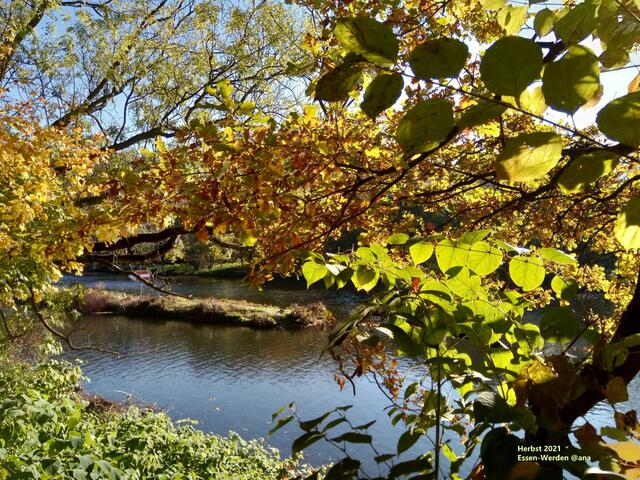 ...nahe der Papiermühle in Essen-Werden, Oktober 2021 