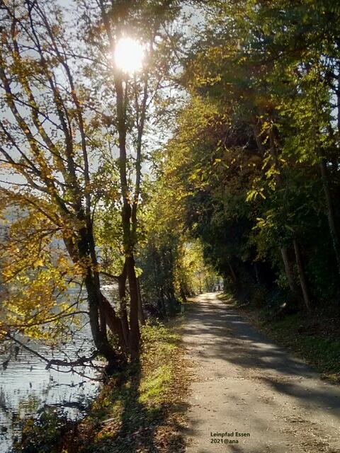 ...auf dem WEG von Werden nach Kettwig :-) HERBST 2021@ana