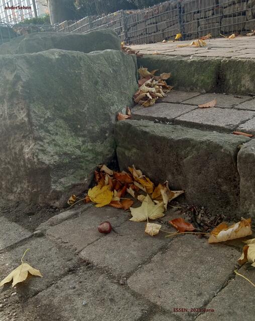 ...anderSehen ...KASTANIE in Essen 2021@ana