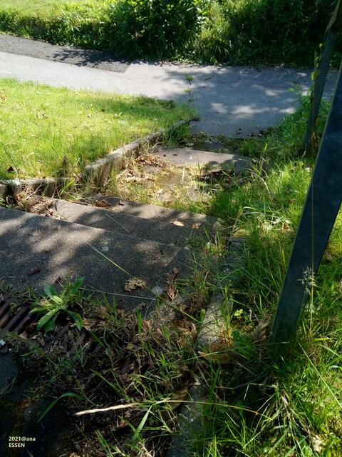 ...upps... hier sollte vielleicht mal´...