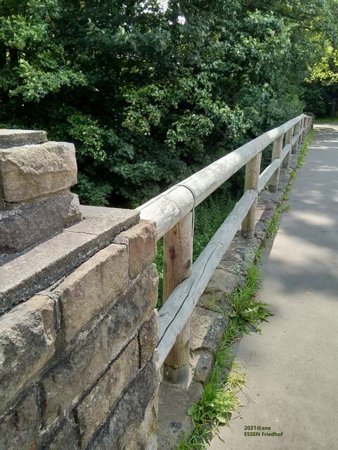 ...weiter auf dem Terrassenfriedhof