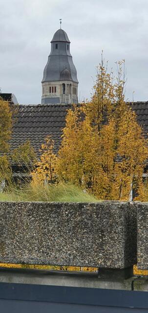 Blick von der KH Terrasse Ri. Rathaus Turm 