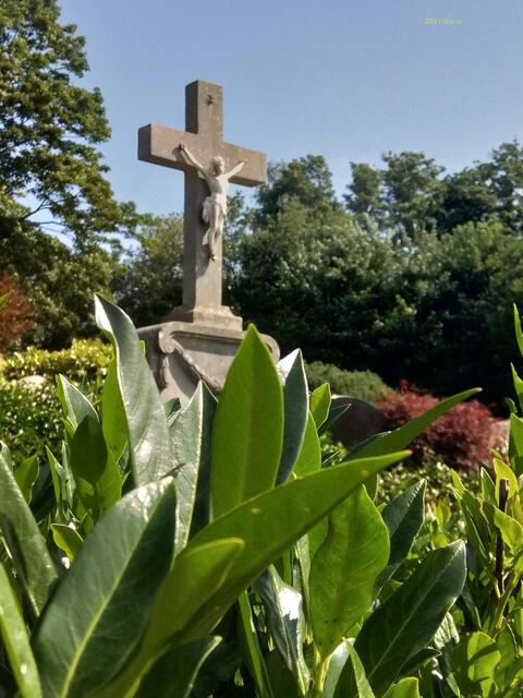 perspektivisch anders...