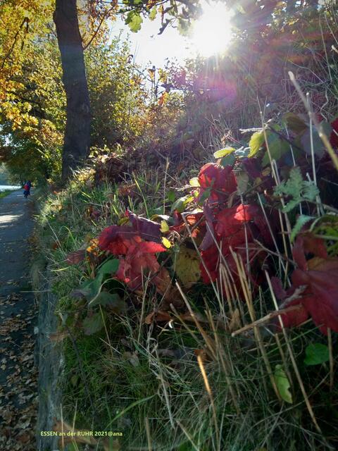 einfach nur dran´vorbei huschen... kann ich oft NICHT!