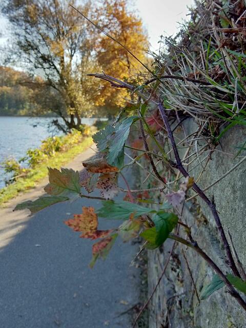 Schönheiten der Natur