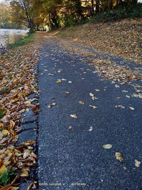 Spaziergang im Herbst...