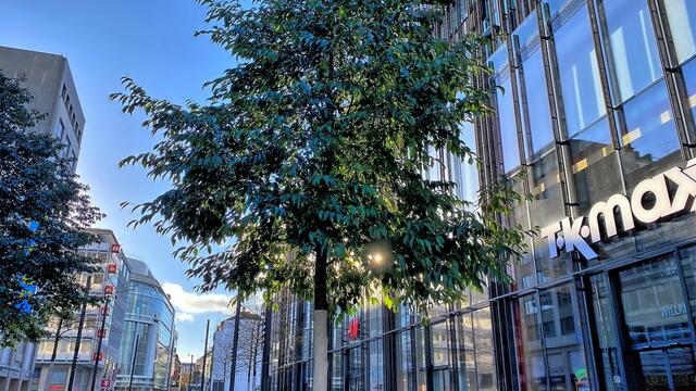 Foto: © Margot Klütsch