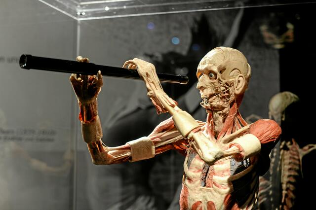 Foto: PR-Foto Köhring