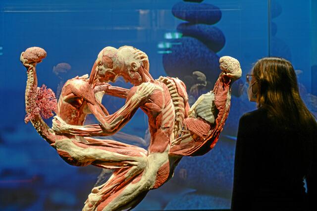 Foto: PR-Foto Köhring