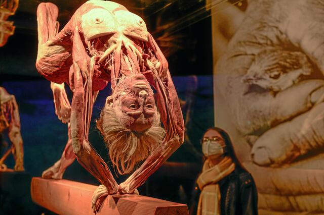 Foto: PR-Foto Köhring