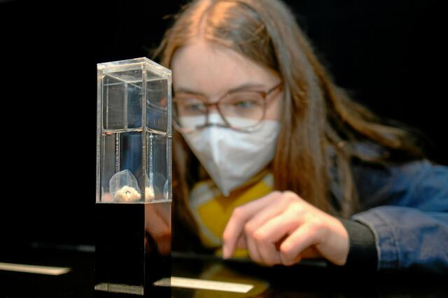 Foto: PR-Foto Köhring