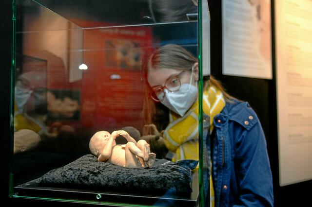 Foto: PR-Foto Köhring