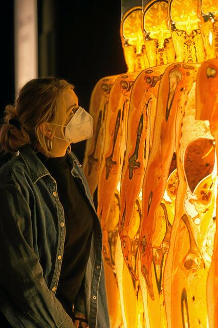 Foto: PR-Foto Köhring