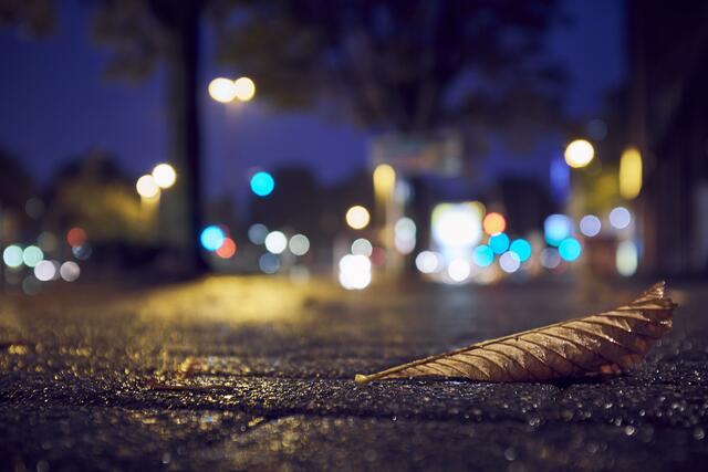 City Herbst - ein Lieblingsbild von mir .... einfach und schnell auf dem Arbeitsweg entstanden. Regen, Lichter und ein Blatt. Kamera auf den Boden, ausgelöst und eine wunderbare Stimmung eingefangen.
#Fuji #Jpeg Rezepte