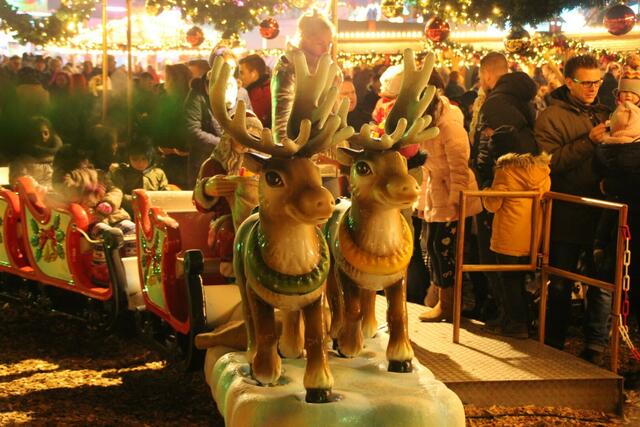 Rentier-Express. | Foto: Patrick Jost