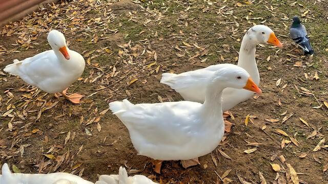 Foto: © Margot Klütsch