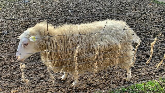 Foto: © Margot Klütsch