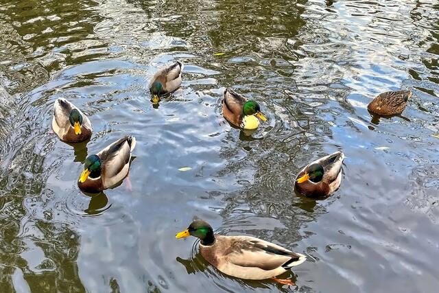 Foto: © Margot Klütsch