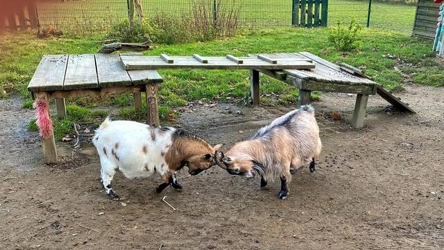 Foto: © Margot Klütsch