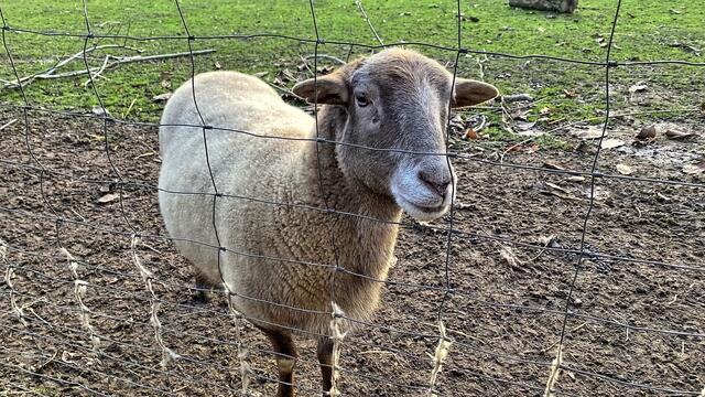 Foto: © Margot Klütsch